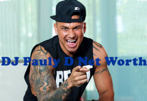 DJ Pauly D Net Worth